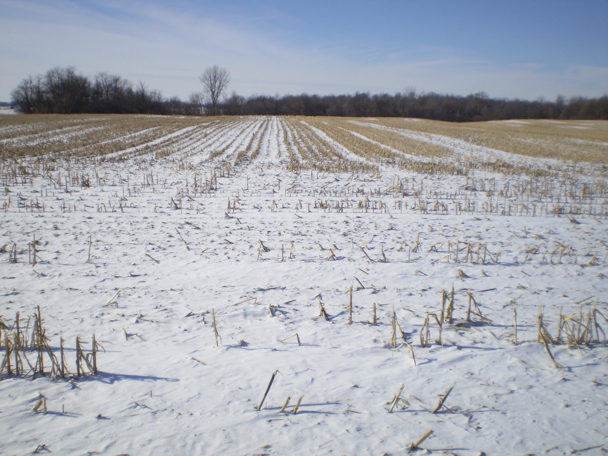 Property photo 3 - 76 Acres Offered in 4 Tracts
